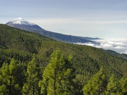 Tenerife2002-2003-016